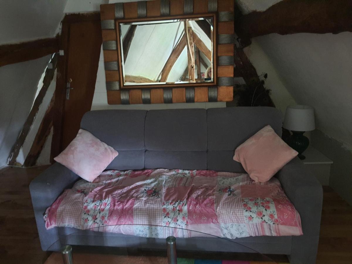 Chaumiere Du Chateau D'O Et Sa Mini Ferme ,Gite 21Couchages Goupil-Othon Ngoại thất bức ảnh